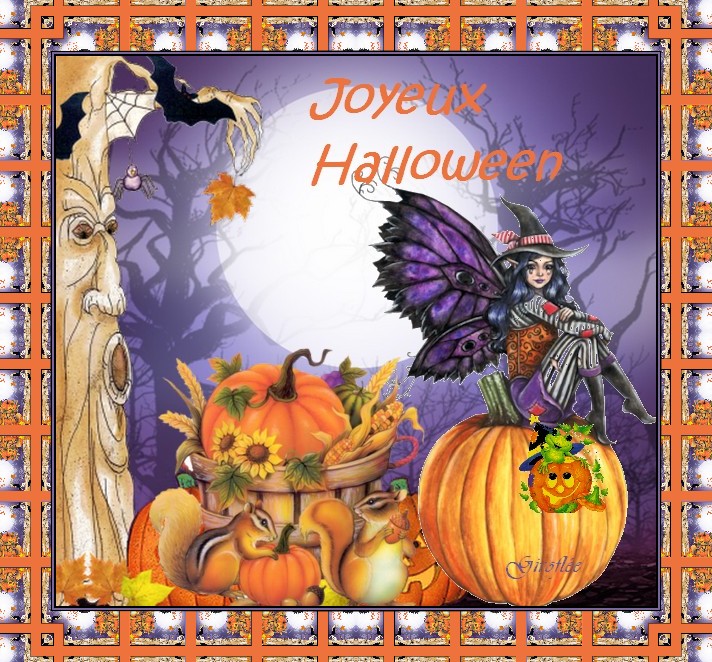 http://nsm02.casimages.com/img/2009/10/31/091031012441616284753814.jpg
