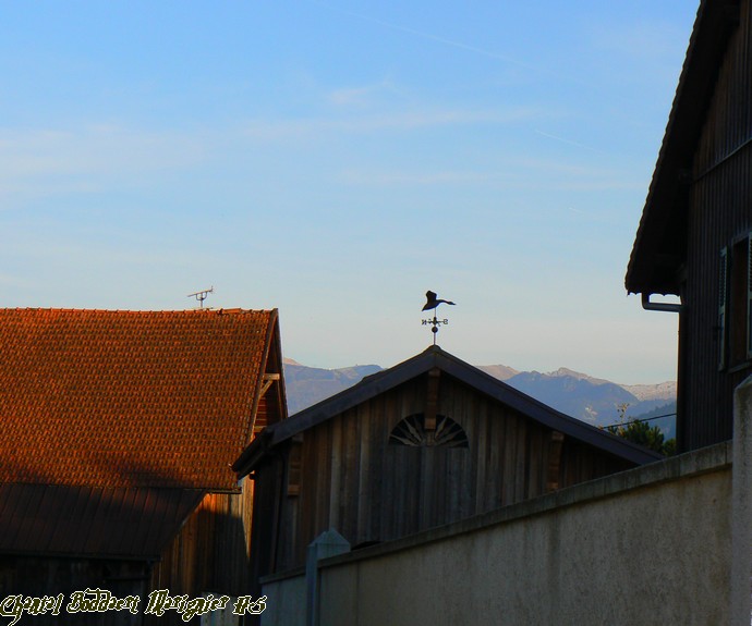 Image h�berg�e par Casimages.com : votre h�bergeur d images simple et gratuit