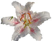 Image hébergée par Casimages.com : votre hébergeur d images simple et gratuit