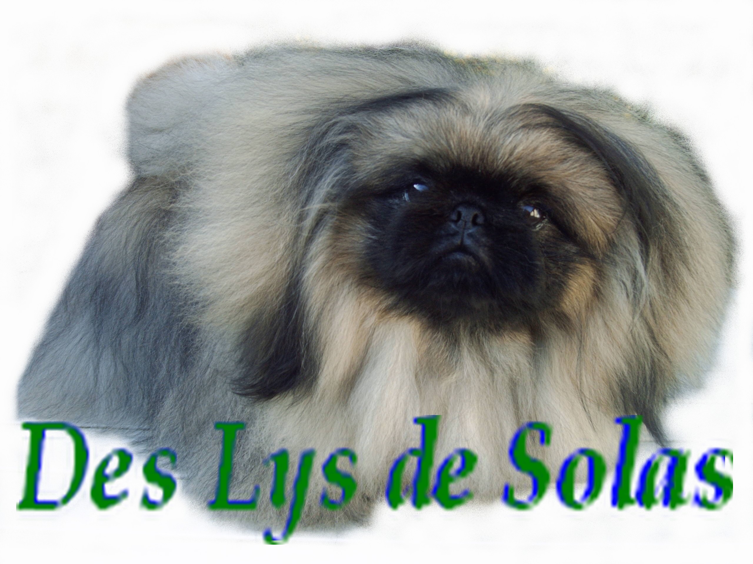 Image h�berg�e par Casimages.com : votre h�bergeur d images simple et gratuit