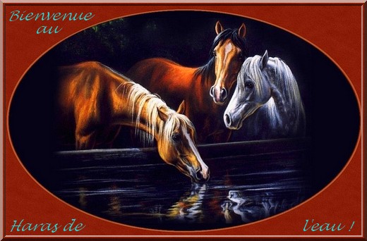 image utilisateur