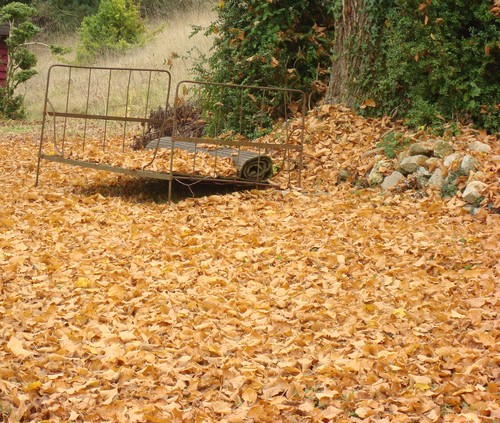 Image hébergée par Casimages.com : votre hébergeur d images simple et gratuit