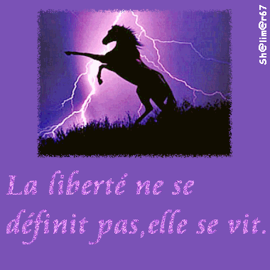 Image hébergée par Casimages.com : votre hébergeur d images simple et gratuit
