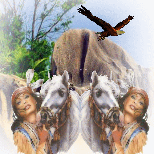 Image h�berg�e par Casimages.com : votre h�bergeur d images simple et gratuit