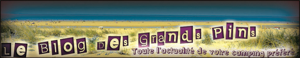 Bienvenue sur le Blog des Grands Pins