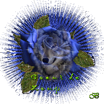 Image h�berg�e par Casimages.com : votre h�bergeur d images simple et gratuit
