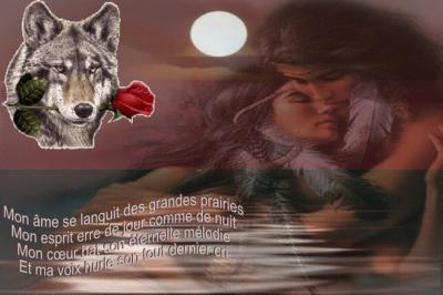 Image hébergée par Casimages.com : votre hébergeur d images simple et gratuit