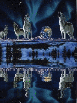 Image hébergée par Casimages.com : votre hébergeur d images simple et gratuit