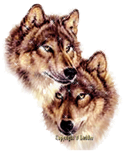 Image hébergée par Casimages.com : votre hébergeur d images simple et gratuit