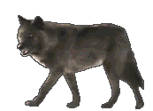 Image hébergée par Casimages.com : votre hébergeur d images simple et gratuit