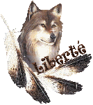 Image h�berg�e par Casimages.com : votre h�bergeur d images simple et gratuit