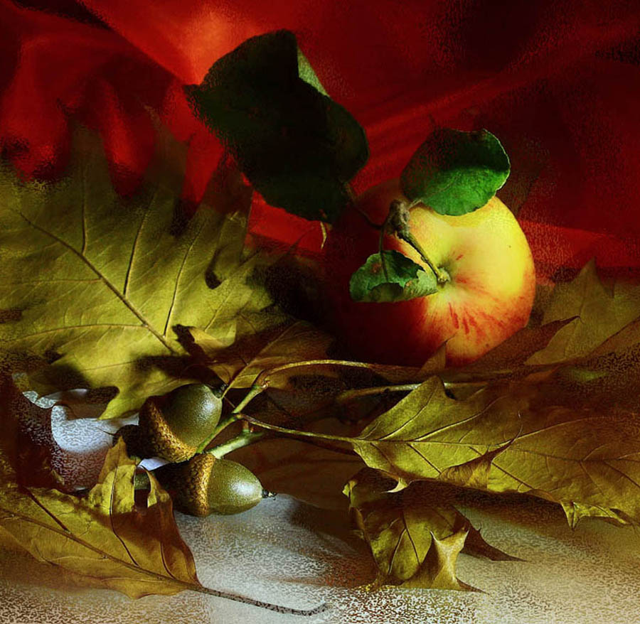 Image hébergée par Casimages.com : votre hébergeur d images simple et gratuit