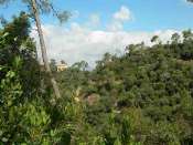 VTT BTT Parque de Collserola Tibidabo
