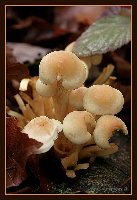 Image hébergée par Casimages.com : votre hébergeur d images simple et gratuit