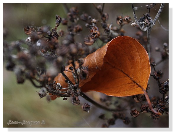 Image hébergée par Casimages.com : votre hébergeur d images simple et gratuit