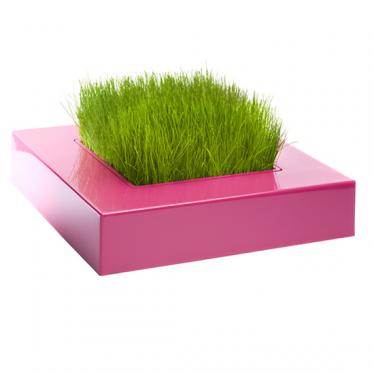 Image hébergée par Casimages.com : votre hébergeur d images simple et gratuit