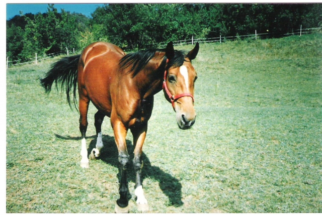 Image hébergée par Casimages.com : votre hébergeur d images simple et gratuit