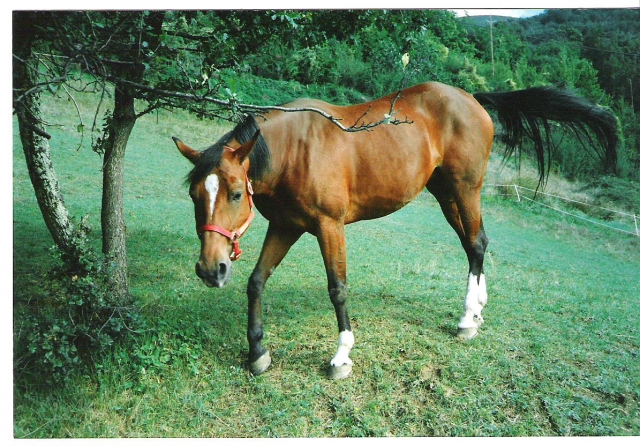 Image hébergée par Casimages.com : votre hébergeur d images simple et gratuit