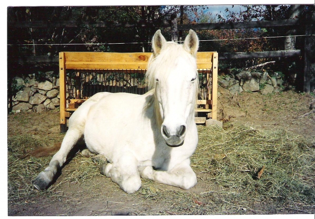 Image hébergée par Casimages.com : votre hébergeur d images simple et gratuit