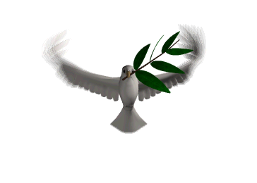 Image hébergée par Casimages.com : votre hébergeur d images simple et gratuit