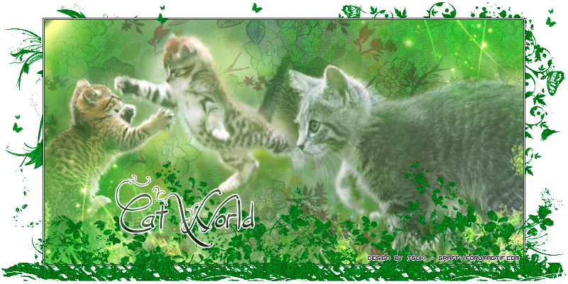 cat wordl