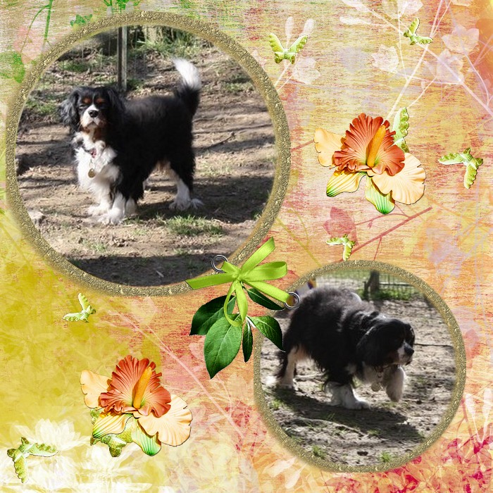 Image h�berg�e par Casimages.com : votre h�bergeur d images simple et gratuit