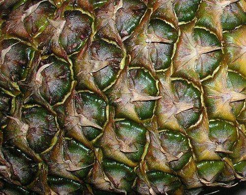 ananas