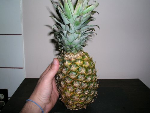 ananas