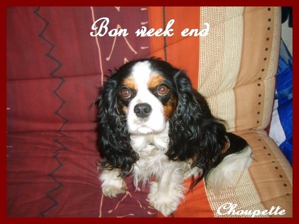 Image h�berg�e par Casimages.com : votre h�bergeur d images simple et gratuit