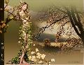Hebergement gratuit d image et photo