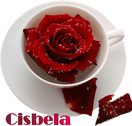 Image hébergée par Casimages.com : votre hébergeur d images simple et gratuit