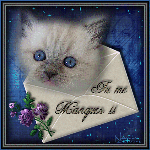 Image h�berg�e par Casimages.com : votre h�bergeur d images simple et gratuit