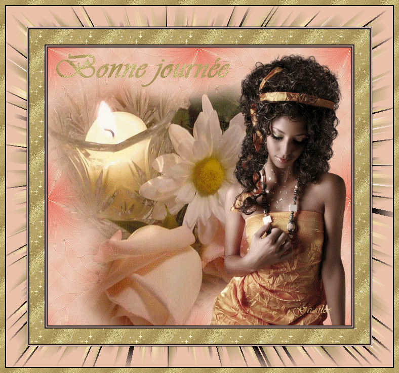 http://nsm02.casimages.com/img/2009/11/17/091117022152616284879646.gif