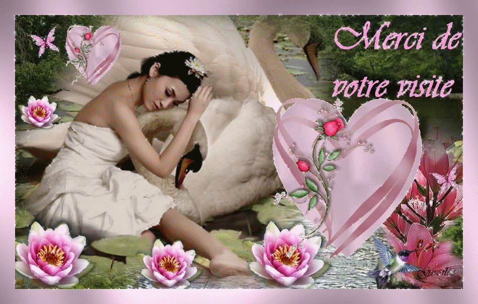 http://nsm02.casimages.com/img/2009/11/17/091117070954616284881791.gif