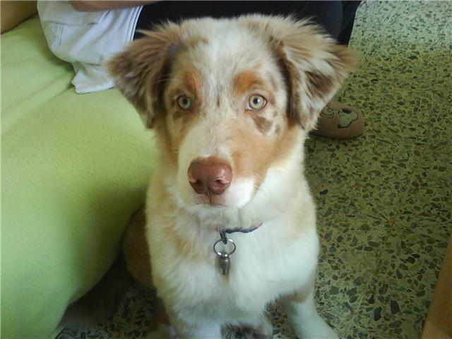 Image h�berg�e par Casimages.com : votre h�bergeur d images simple et gratuit
