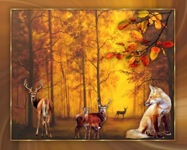 Image hébergée par Casimages.com : votre hébergeur d images simple et gratuit