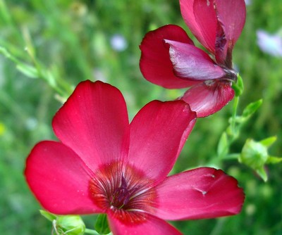 Image hébergée par Casimages.com : votre hébergeur d images simple et gratuit