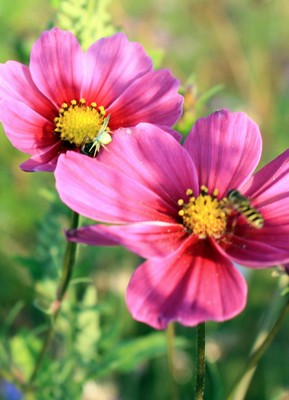 Image hébergée par Casimages.com : votre hébergeur d images simple et gratuit