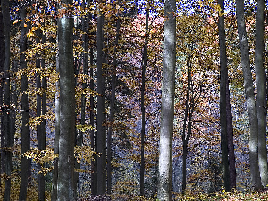 Image hébergée par Casimages.com : votre hébergeur d images simple et gratuit