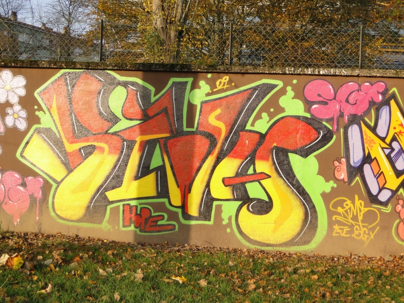 http://nsm02.casimages.com/img/2009/11/21/091121114519717354910805.jpg