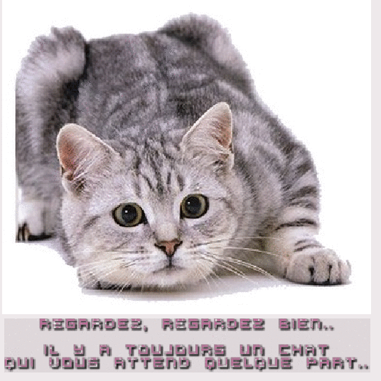 Image h�berg�e par Casimages.com : votre h�bergeur d images simple et gratuit