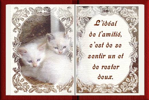 Image hébergée par Casimages.com : votre hébergeur d images simple et gratuit