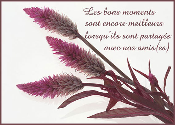 Image hébergée par Casimages.com : votre hébergeur d images simple et gratuit