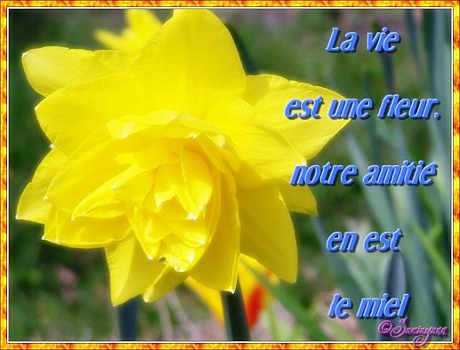 Image hébergée par Casimages.com : votre hébergeur d images simple et gratuit