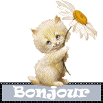 Image hébergée par Casimages.com : votre hébergeur d images simple et gratuit
