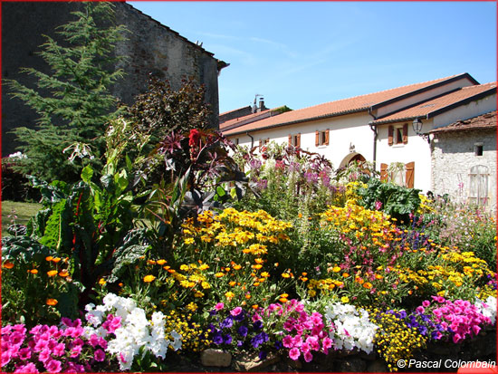 Vaudémont le village
