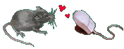Image h�berg�e par Casimages.com : votre h�bergeur d images simple et gratuit