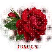 Hebergement gratuit d image et photo