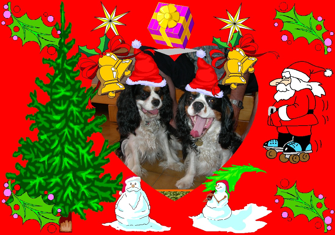 Image h�berg�e par Casimages.com : votre h�bergeur d images simple et gratuit