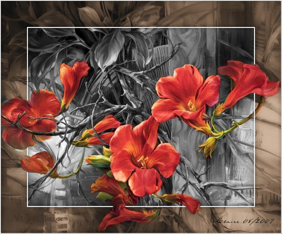 Image hébergée par Casimages.com : votre hébergeur d images simple et gratuit